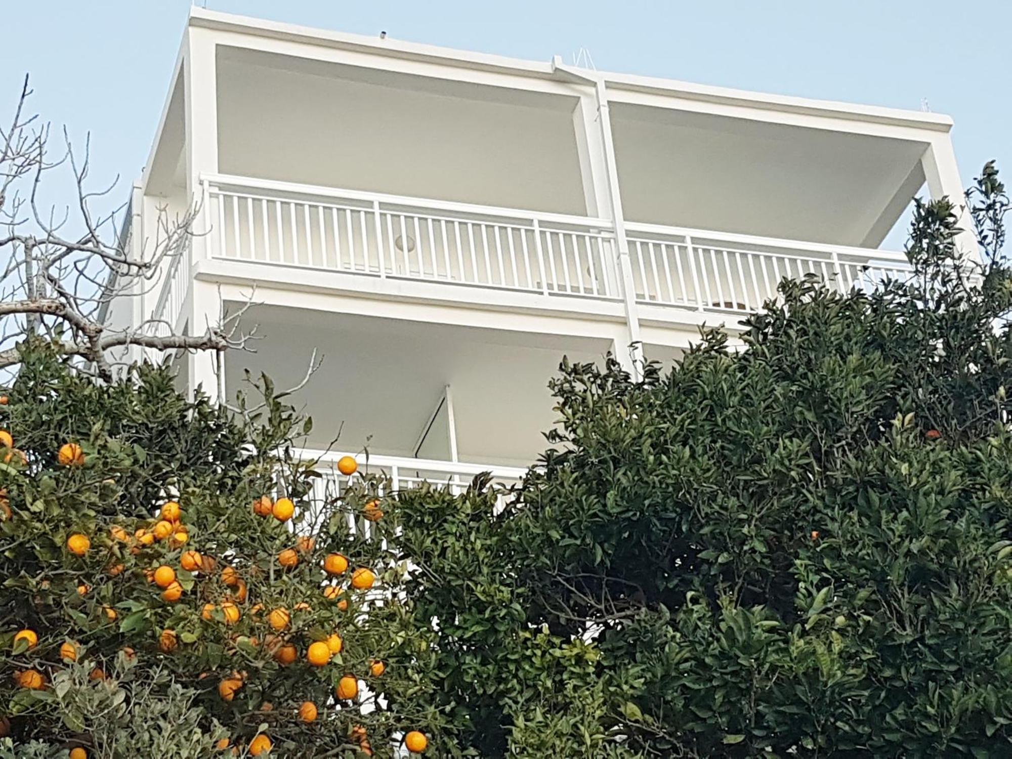 Apartmani Anda Živogošće المظهر الخارجي الصورة